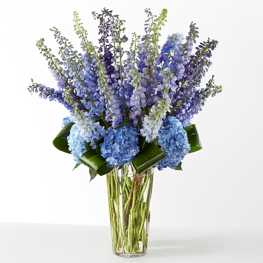 The Editorial –  Main Street Floral, Superior NE