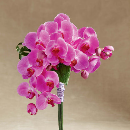 Glorious Bouquet –  Main Street Floral, Superior NE
