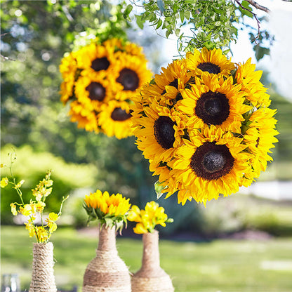 Sublime Garden Hanging Arrangement –  Main Street Floral, Superior NE
