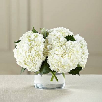 White Hydrangea Bouquet –  Main Street Floral, Superior NE