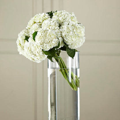 White Hydrangea Hand-Tied Bouquet –  Main Street Floral, Superior NE