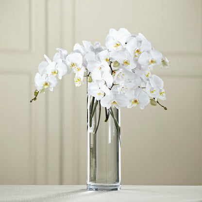 White Phalaenopsis Bouquet –  Main Street Floral, Superior NE